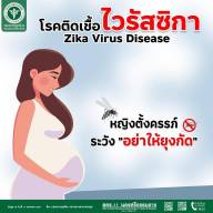 โรคติดเชื้อไวรัสซิกาหญิงตั้งครรภ์